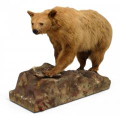 Rustic Style Taxidermy Bear - 4528981
