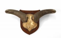 Rustic Taxidermy Water Buffalo Skull - 4670467