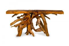 Rustic Tree Root Live Edge Lacquered Console Table - 4633804