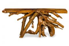 Rustic Tree Root Live Edge Lacquered Console Table - 4633808