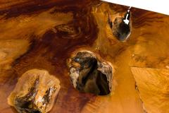 Rustic Tree Root Live Edge Lacquered Console Table - 4633811