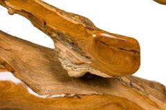Rustic Tree Root Live Edge Lacquered Console Table - 4633814