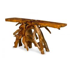 Rustic Tree Root Live Edge Lacquered Console Table - 4683122