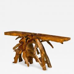 Rustic Tree Root Live Edge Lacquered Console Table - 4683129