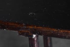 Rustic Vernacular Console Table France Early 20th Century - 4549560