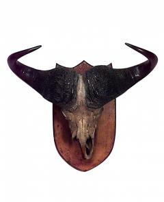 Rustic Water Buffalo Skull Taxidermy - 4655794