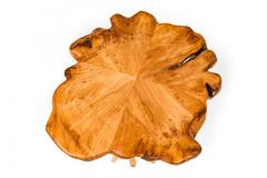 Rustic Wood Round Side Table with Organic Top and Branch Base - 4667818