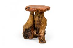 Rustic Wooden Tree Stump Burled Side Table with Organic Scalloped Shaped Top - 4669470
