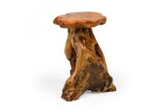 Rustic Wooden Tree Stump Burled Side Table with Organic Scalloped Shaped Top - 4669471