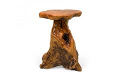 Rustic Wooden Tree Stump Burled Side Table with Organic Scalloped Shaped Top - 4669472