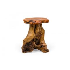 Rustic Wooden Tree Stump Burled Side Table with Organic Scalloped Shaped Top - 4734367