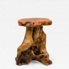 Rustic Wooden Tree Stump Burled Side Table with Organic Scalloped Shaped Top - 4734425