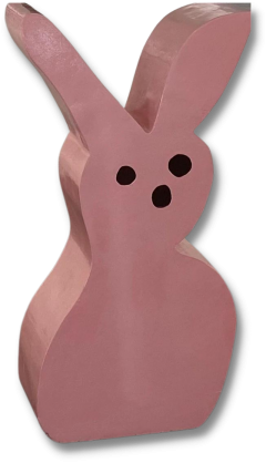 Ryan Cronin Bunny - 4145886