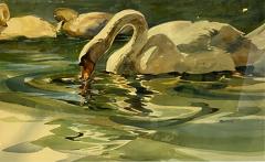 SIGNED MODERN SWANS WATERCOLOR - 1569534