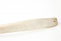 SPERM WHALE RIB BONE - 1305087