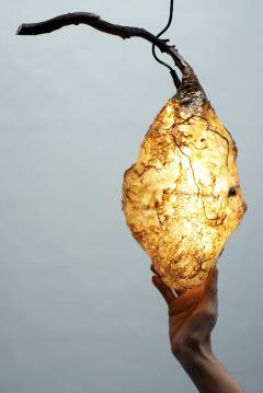 Sabrina Merayo Nu ez Hive Light Pendant - 4394196