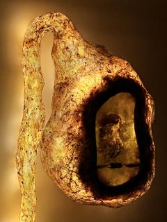 Sabrina Merayo Nu ez Sensorium Wall Light - 4394217