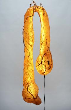 Sabrina Merayo Nu ez Worm Light Wall - 4394241