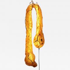 Sabrina Merayo Nu ez Worm Light Wall - 4394405