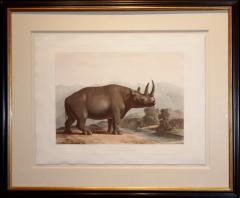 Samuel Daniell The African Rhinoceros - 41054