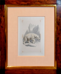 Samuel Howitt SAMUEL HOWITT BRITISH 1765 1822 POLAR BEAR - 2841928