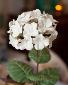 Samuel Mazy Samuel Mazy Biscuit Porcelain White Hydrangea Flower Sculpture - 3075899