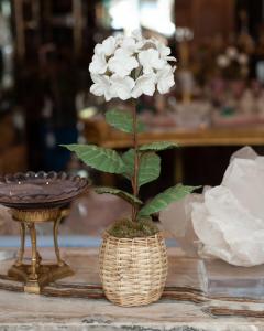Samuel Mazy Samuel Mazy Biscuit Porcelain White Hydrangea Flower Sculpture - 3075900