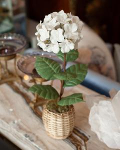 Samuel Mazy Samuel Mazy Biscuit Porcelain White Hydrangea Flower Sculpture - 3075901