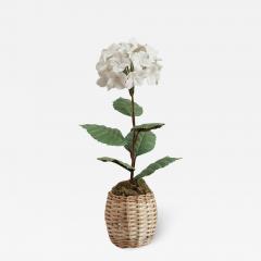 Samuel Mazy Samuel Mazy Biscuit Porcelain White Hydrangea Flower Sculpture - 3076584