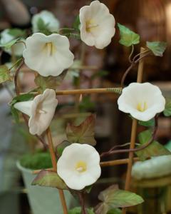 Samuel Mazy Samuel Mazy White Biscuit Porcelain Morning Glory with Trellis in a Lattice Pot - 3935899