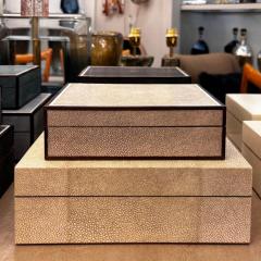 Sand Color Shagreen and Walnut Box - 4190942