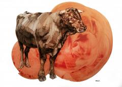 Sarah Hillock Hank - 2813971