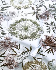 Sasha Sykes Angelica Table - 4449772