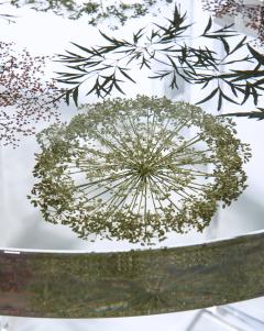 Sasha Sykes Angelica Table - 4449774