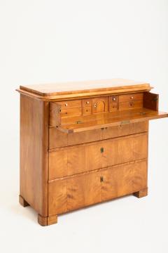 Satin Birch Chest of Drawers - 4289237