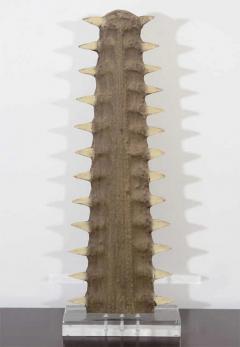 Sawtooth on Lucite display stand - 2612371