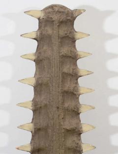 Sawtooth on Lucite display stand - 2612372