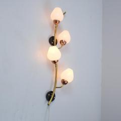 Scandinavian Floral Wall Lamp Brass Copper Black Metal White Glass 1960s - 4334578
