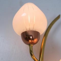 Scandinavian Floral Wall Lamp Brass Copper Black Metal White Glass 1960s - 4334581