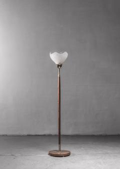 Scandinavian Modern teak and botanic motifs glass floor lamp Sweden - 2182406