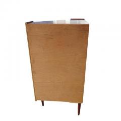 Scandinavian Rosewood Corner Cabinet - 2422268