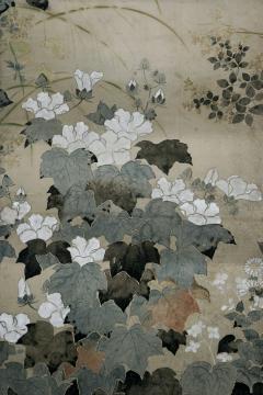 School of Ogata Korin Birds and Flowers of the Four Seasons early 18th century - 2586749