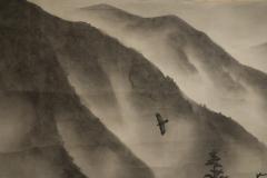 Scroll Soaring Birds in Mountain Landscape - 4150658