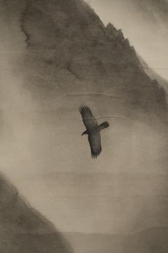 Scroll Soaring Birds in Mountain Landscape - 4150665