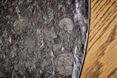Sculptural Brutalist Oak Fossil Stone Coffee Table - 4146854