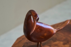 Sculptural Hand Carved Bird in Wood Mid 20th Century - 4803238