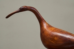 Sculptural Hand Carved Bird in Wood Mid 20th Century - 4803247