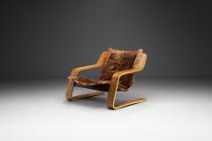 Sculptural Zebrano Plywood Lounge Chair The Netherlands 1970s - 3429759