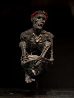 Sculptured model of a smoked Papua Mummie papier m ch 20th C - 4269888