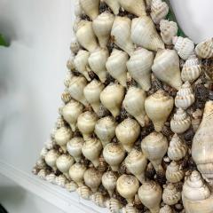 Sea Shell Decorated Photo Frame from Tanzania East Africa 1950s - 3098024